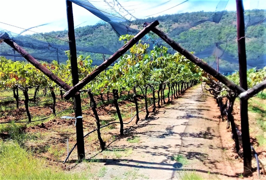 16 Bedroom Property for Sale in Modimolle Limpopo