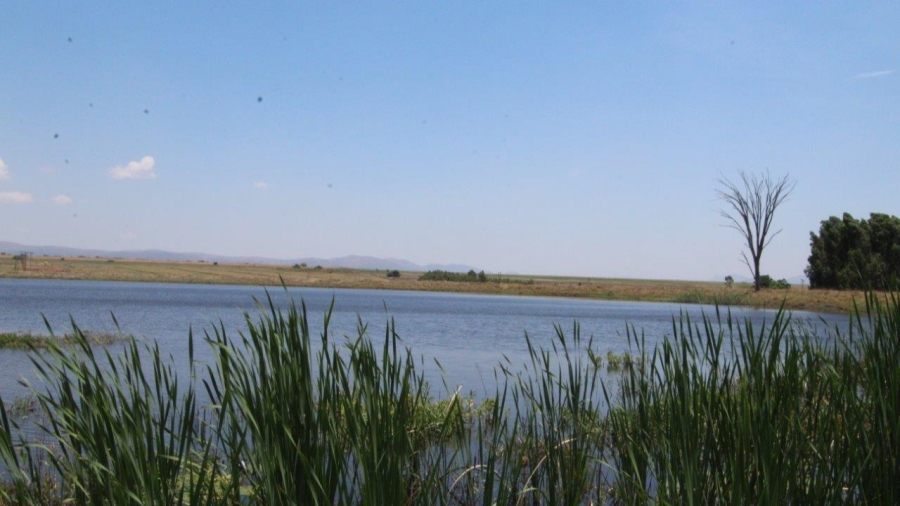 5 Bedroom Property for Sale in Modimolle Limpopo