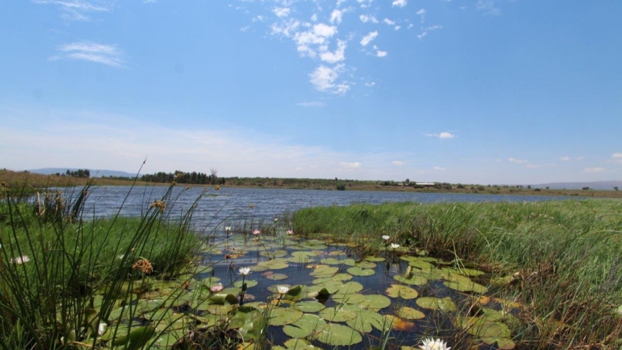 5 Bedroom Property for Sale in Modimolle Limpopo