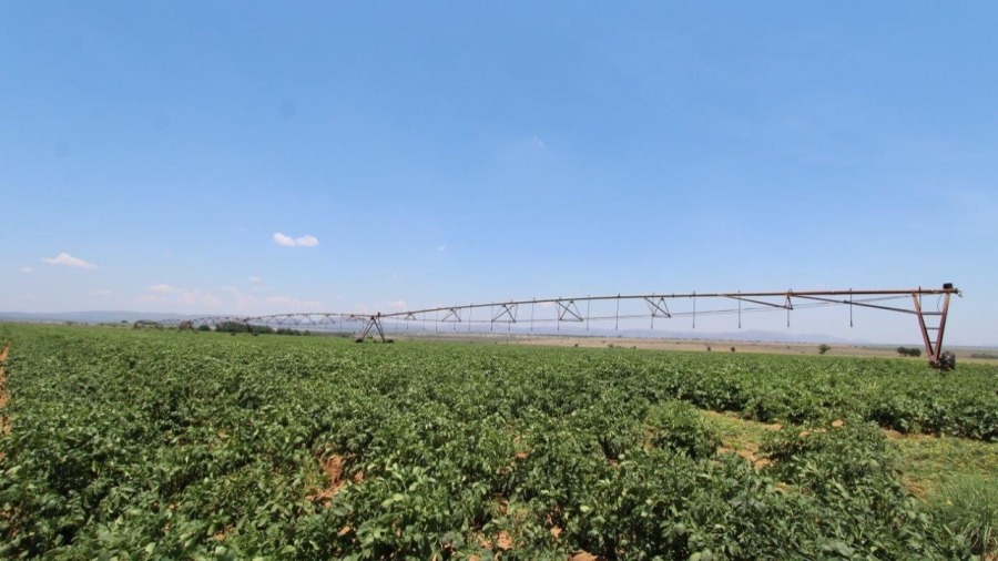 5 Bedroom Property for Sale in Modimolle Limpopo