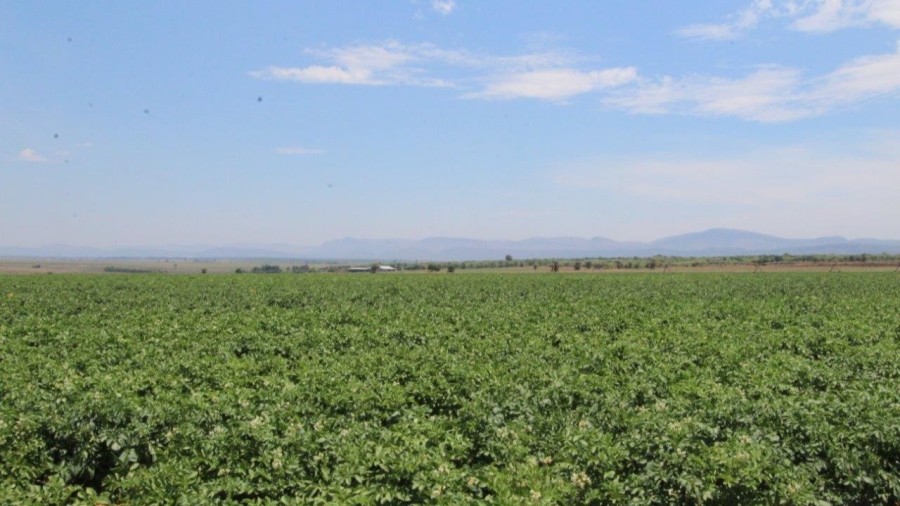 5 Bedroom Property for Sale in Modimolle Limpopo