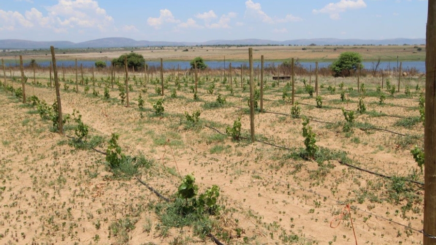 5 Bedroom Property for Sale in Modimolle Limpopo