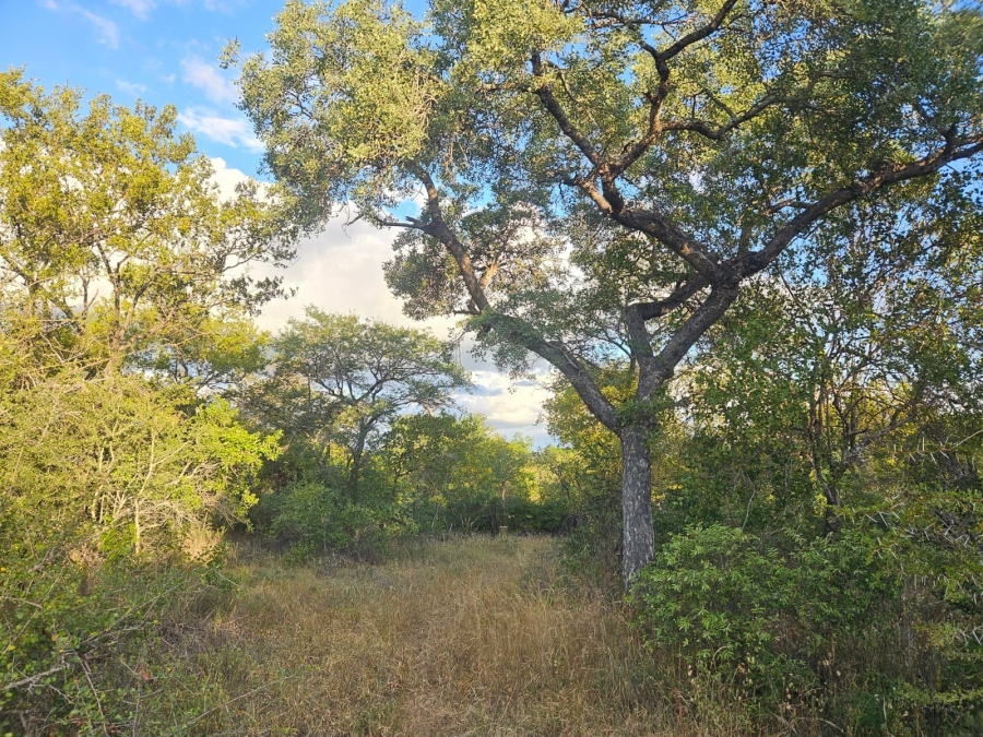 0 Bedroom Property for Sale in Moditlo Wildlife Estate Limpopo