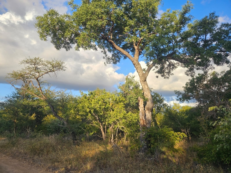 0 Bedroom Property for Sale in Moditlo Wildlife Estate Limpopo