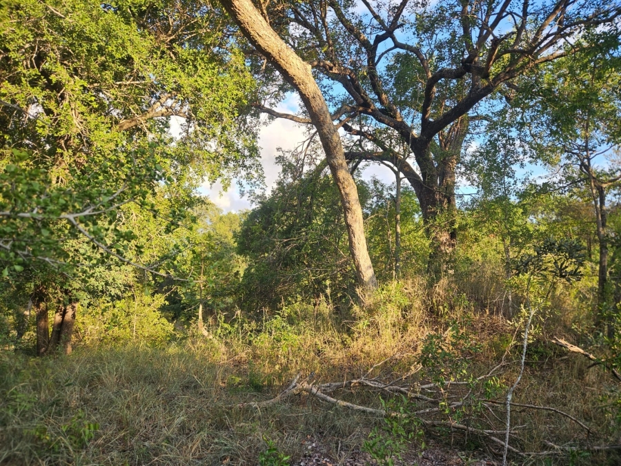 0 Bedroom Property for Sale in Moditlo Wildlife Estate Limpopo