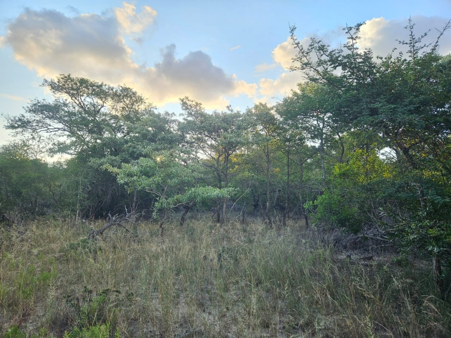 0 Bedroom Property for Sale in Moditlo Wildlife Estate Limpopo