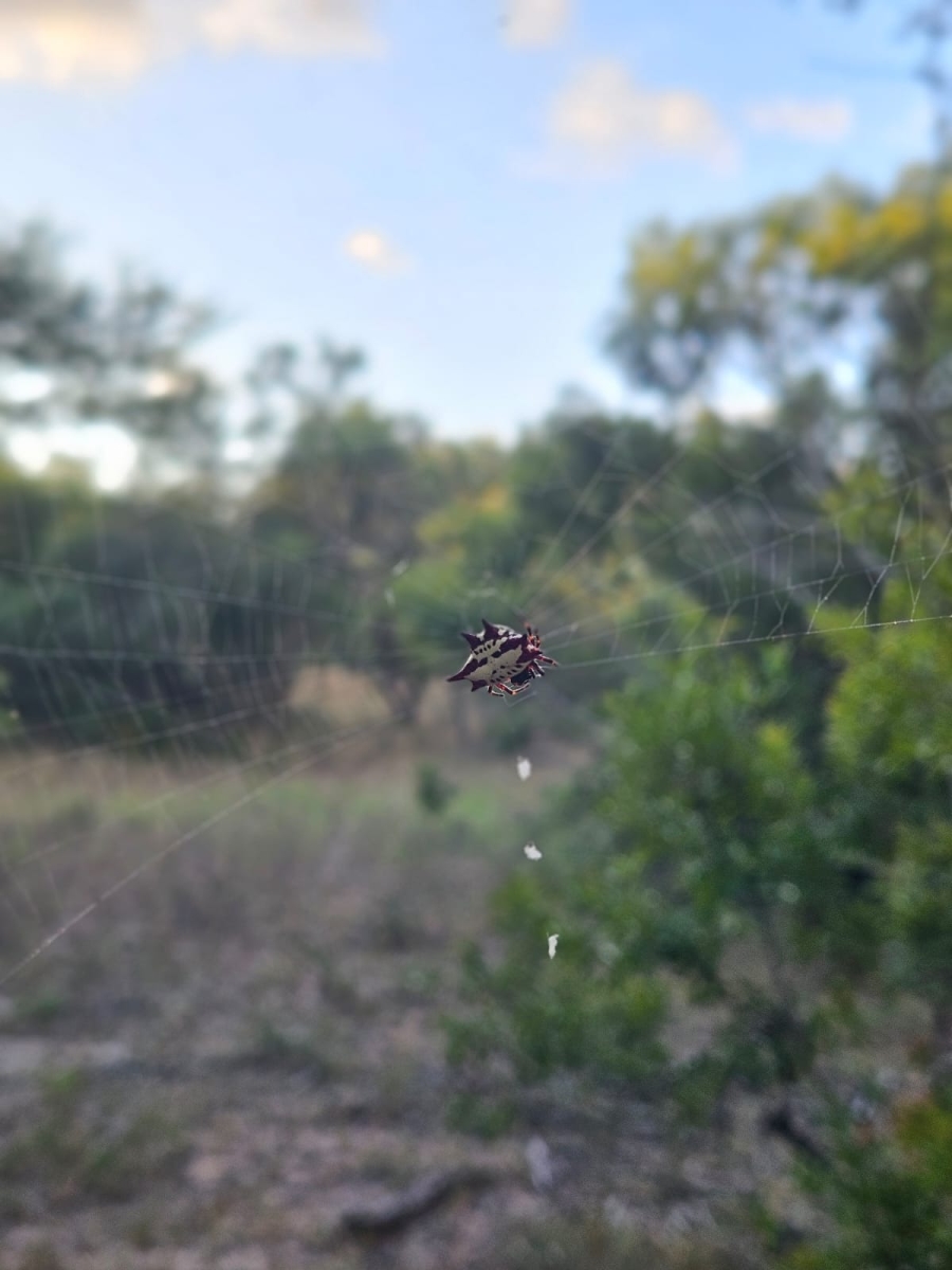 0 Bedroom Property for Sale in Moditlo Wildlife Estate Limpopo