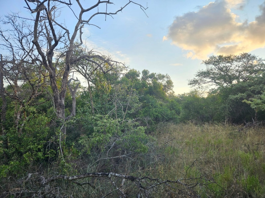 0 Bedroom Property for Sale in Moditlo Wildlife Estate Limpopo