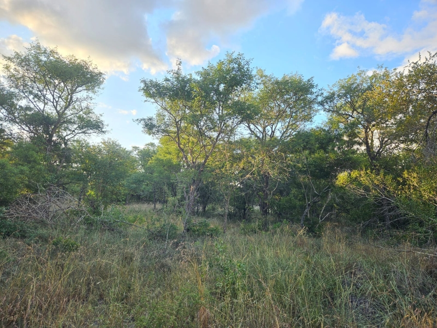 0 Bedroom Property for Sale in Moditlo Wildlife Estate Limpopo