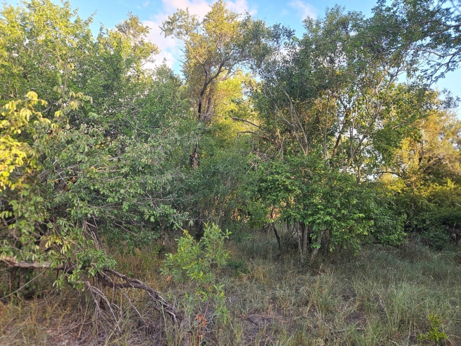 0 Bedroom Property for Sale in Moditlo Wildlife Estate Limpopo