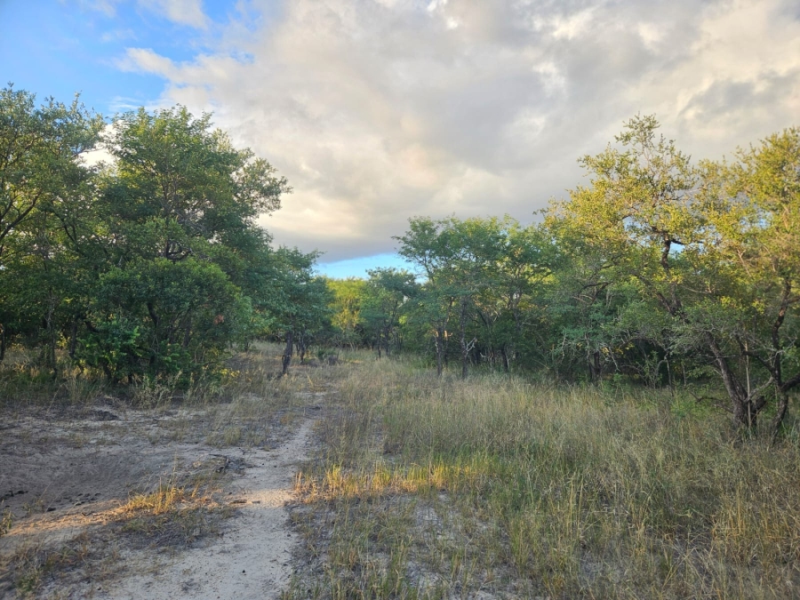 0 Bedroom Property for Sale in Moditlo Wildlife Estate Limpopo