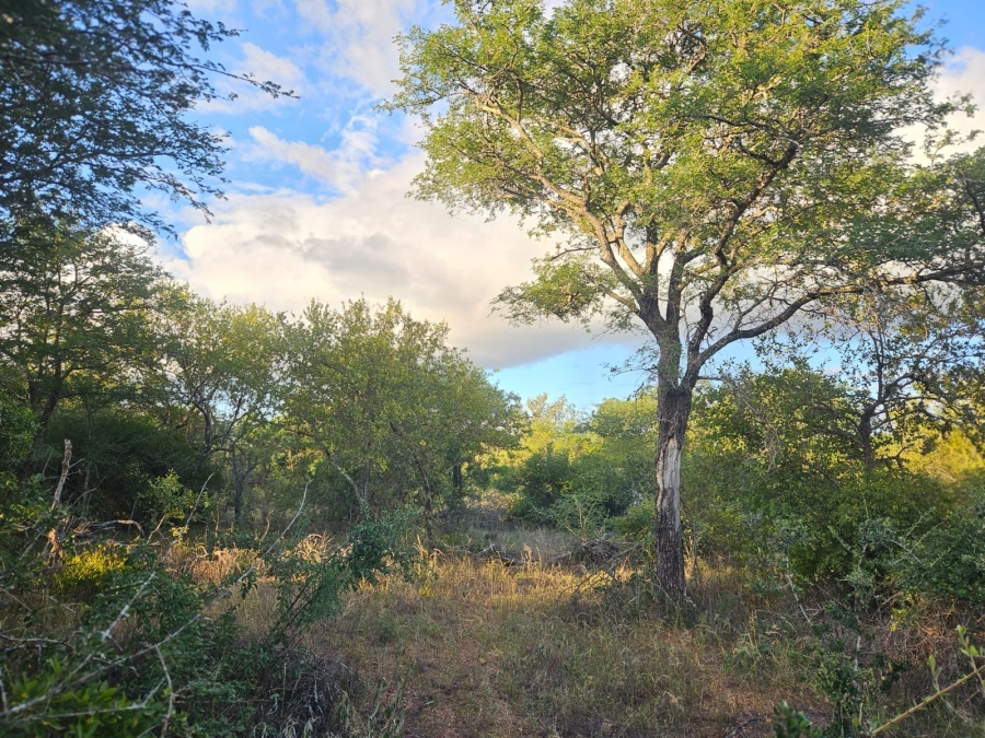 0 Bedroom Property for Sale in Moditlo Wildlife Estate Limpopo
