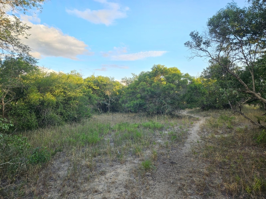 0 Bedroom Property for Sale in Moditlo Wildlife Estate Limpopo