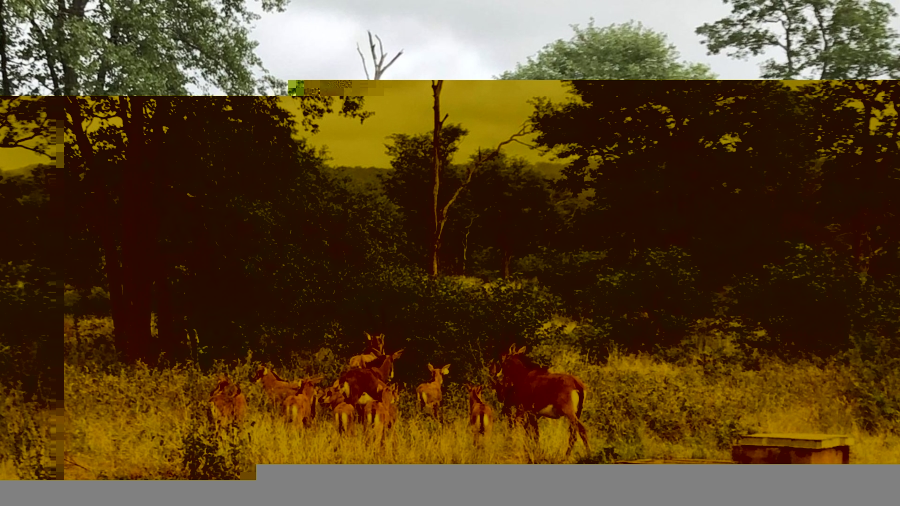 Commercial Property for Sale in Hoedspruit Rural Limpopo