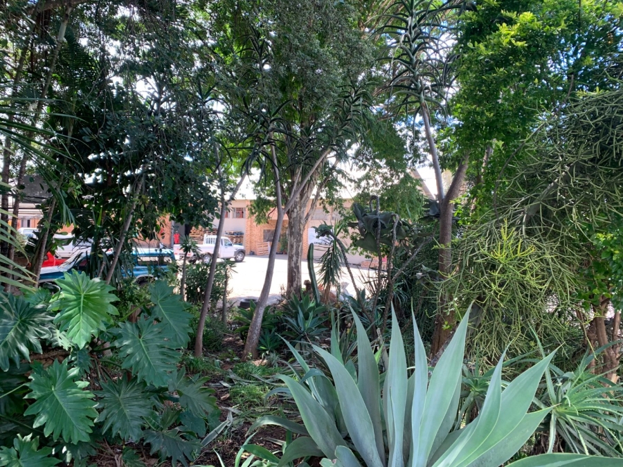 Commercial Property for Sale in Tzaneen Industrial North Limpopo