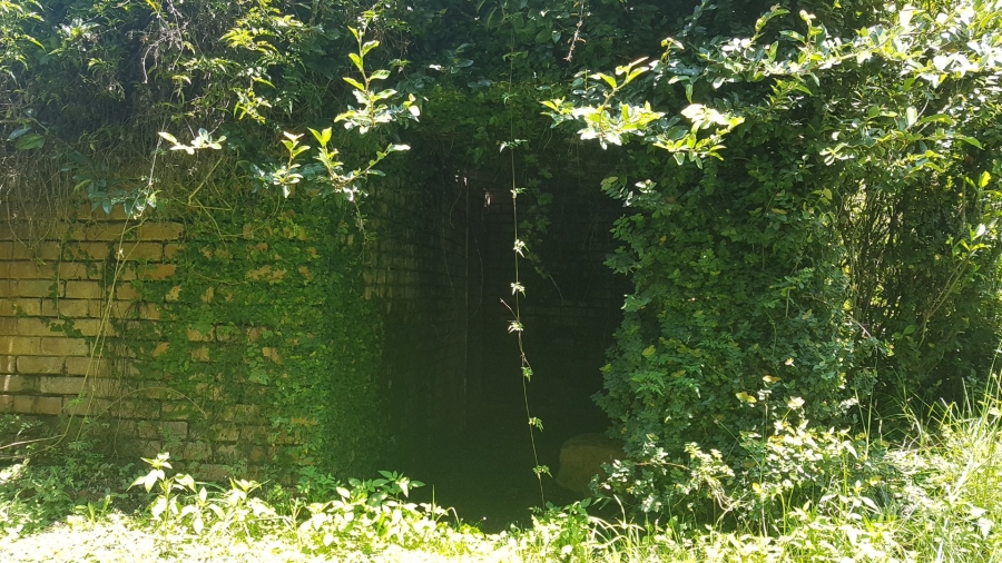 Commercial Property for Sale in Tzaneen Rural Limpopo