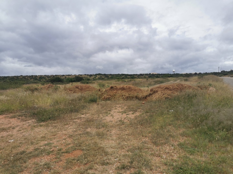 Commercial Property for Sale in Bendor Limpopo