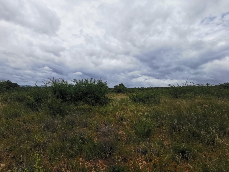 Commercial Property for Sale in Bendor Limpopo