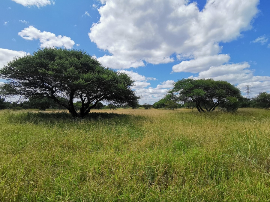 Commercial Property for Sale in Bendor Limpopo
