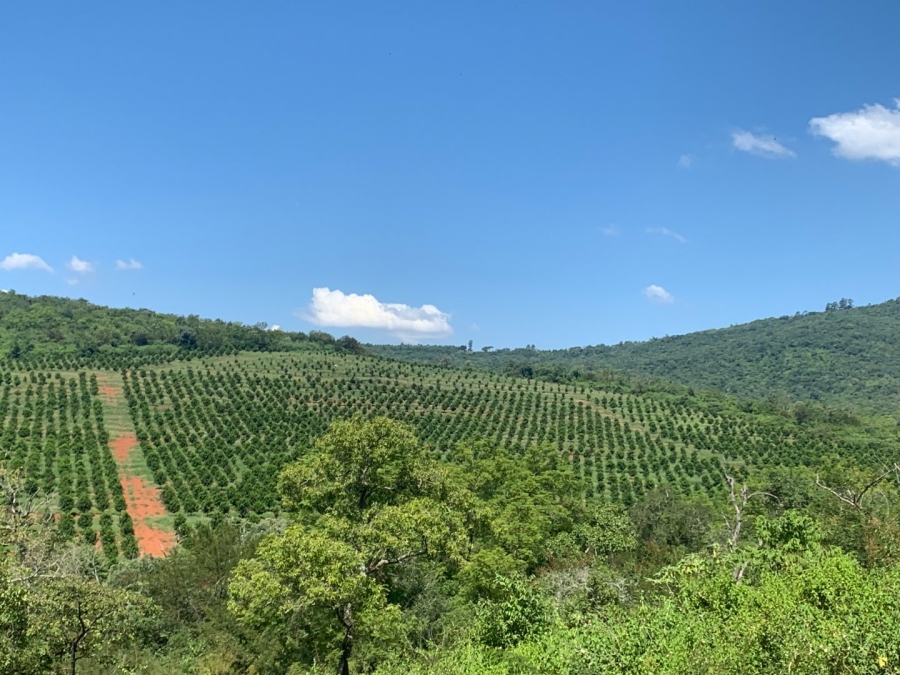 Commercial Property for Sale in Agatha Park Limpopo