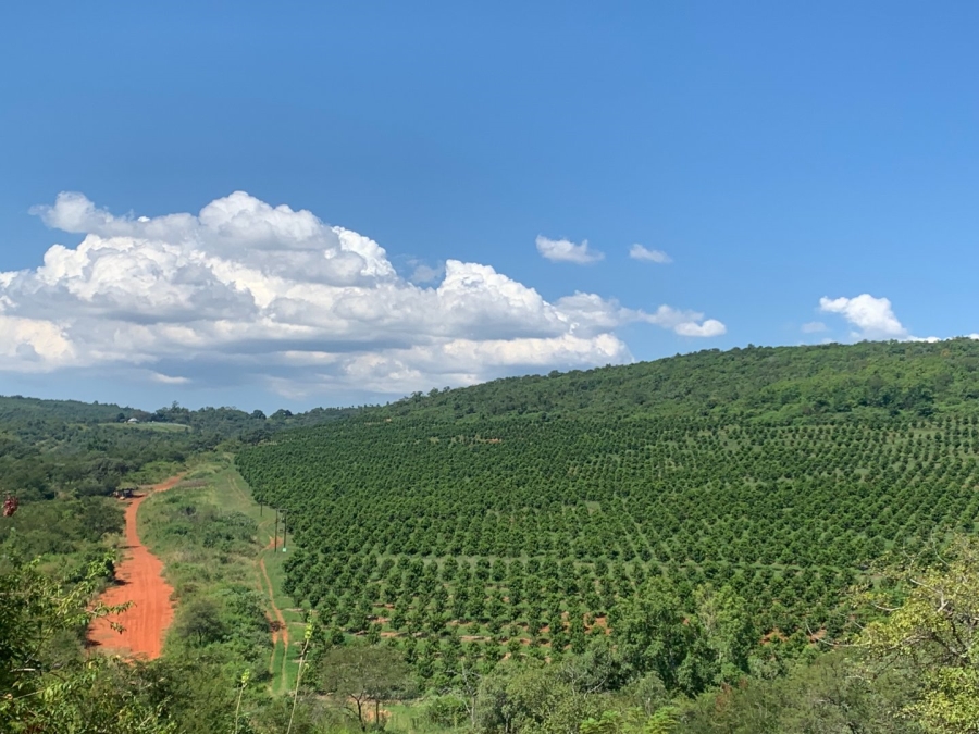 Commercial Property for Sale in Agatha Park Limpopo