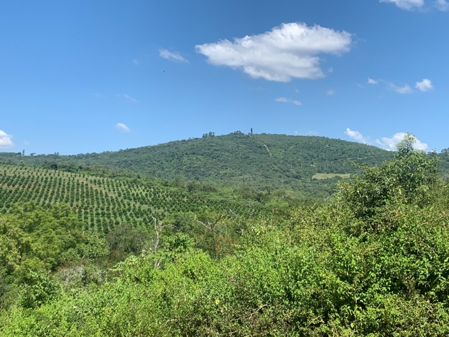 Commercial Property for Sale in Agatha Park Limpopo