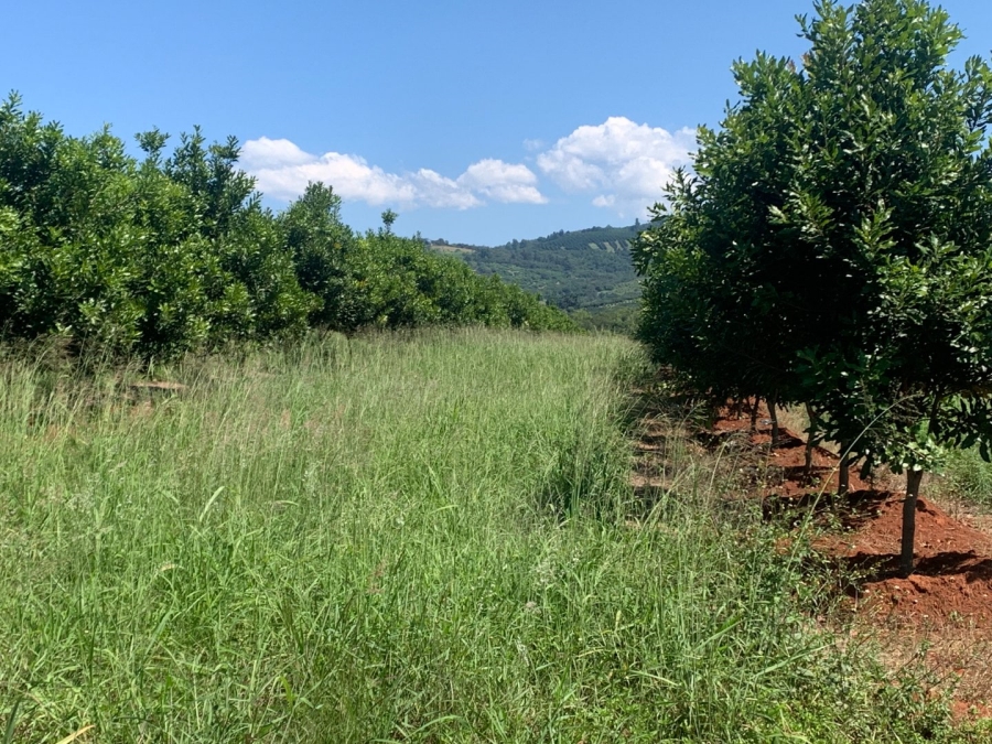 Commercial Property for Sale in Agatha Park Limpopo