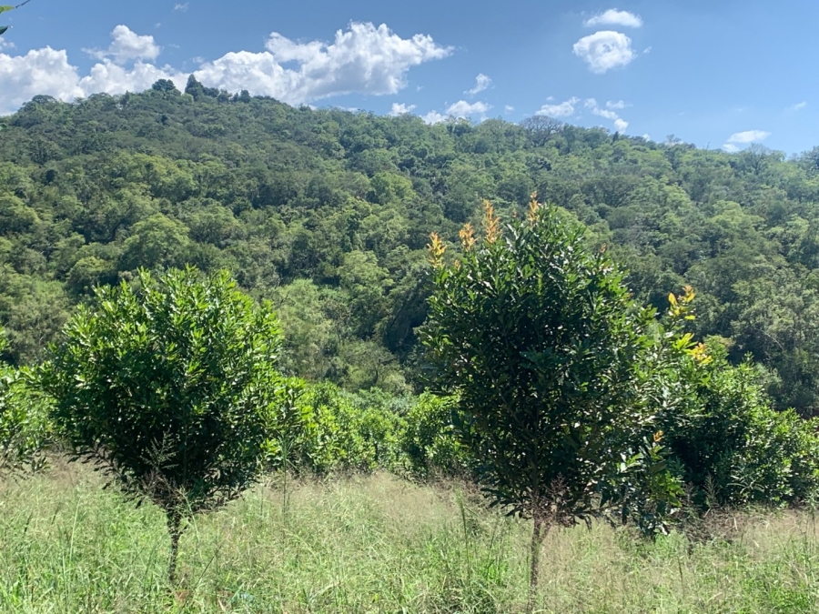 Commercial Property for Sale in Agatha Park Limpopo