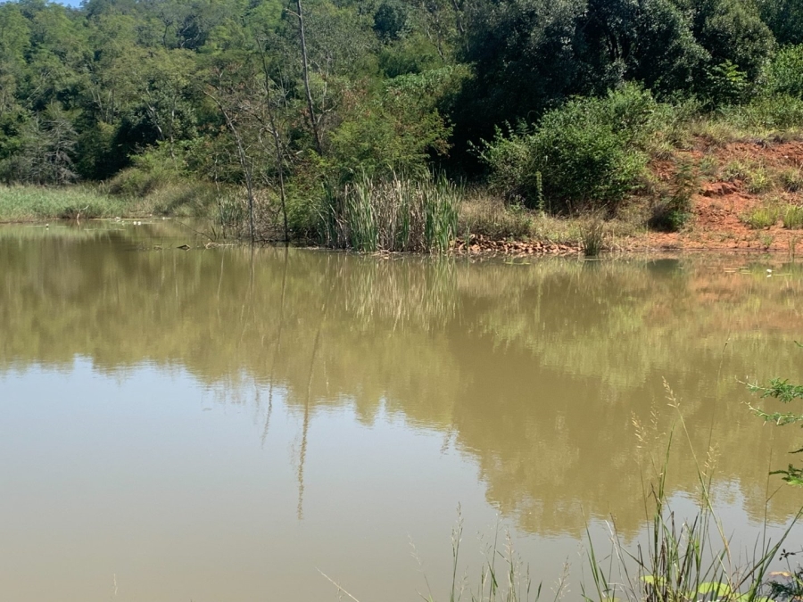 Commercial Property for Sale in Agatha Park Limpopo