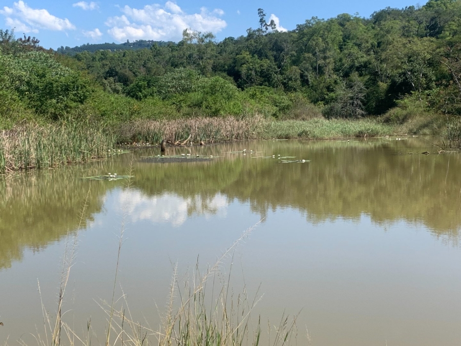 Commercial Property for Sale in Agatha Park Limpopo