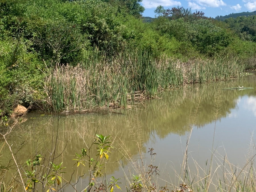 Commercial Property for Sale in Agatha Park Limpopo