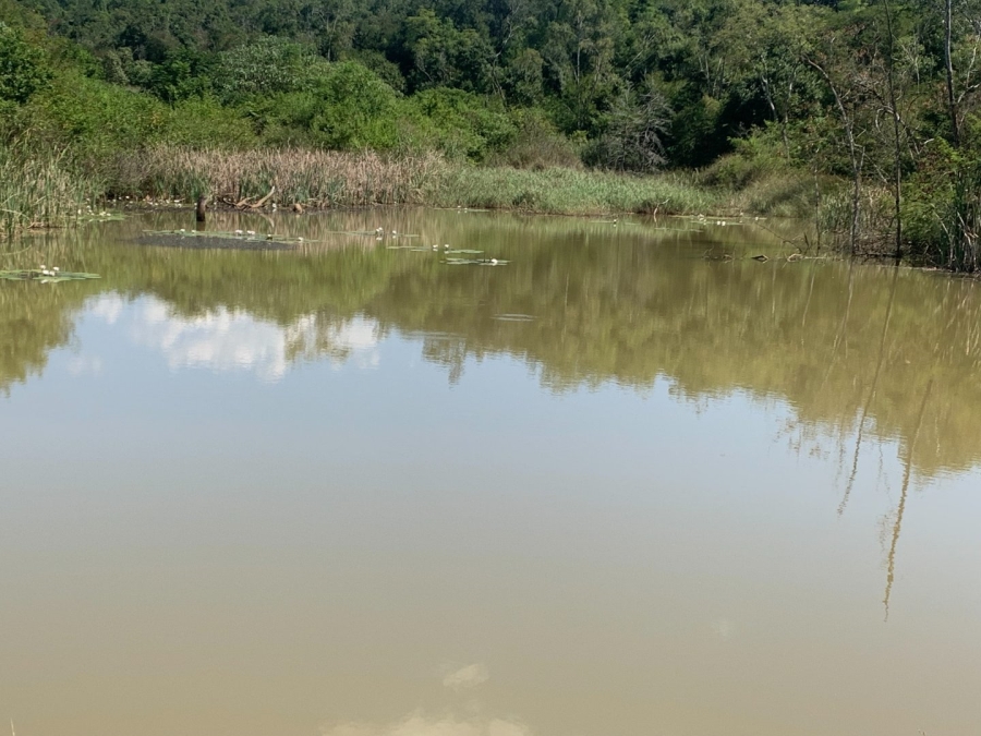 Commercial Property for Sale in Agatha Park Limpopo