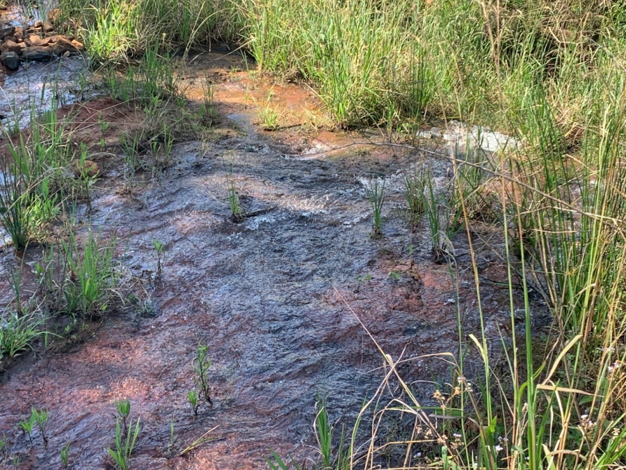 Commercial Property for Sale in Agatha Park Limpopo