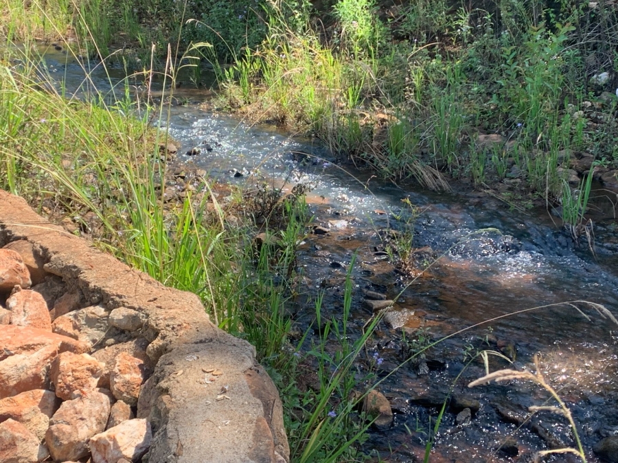 Commercial Property for Sale in Agatha Park Limpopo