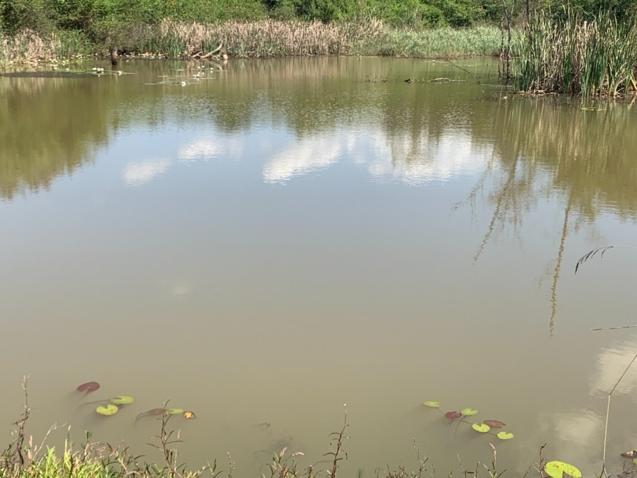 Commercial Property for Sale in Agatha Park Limpopo