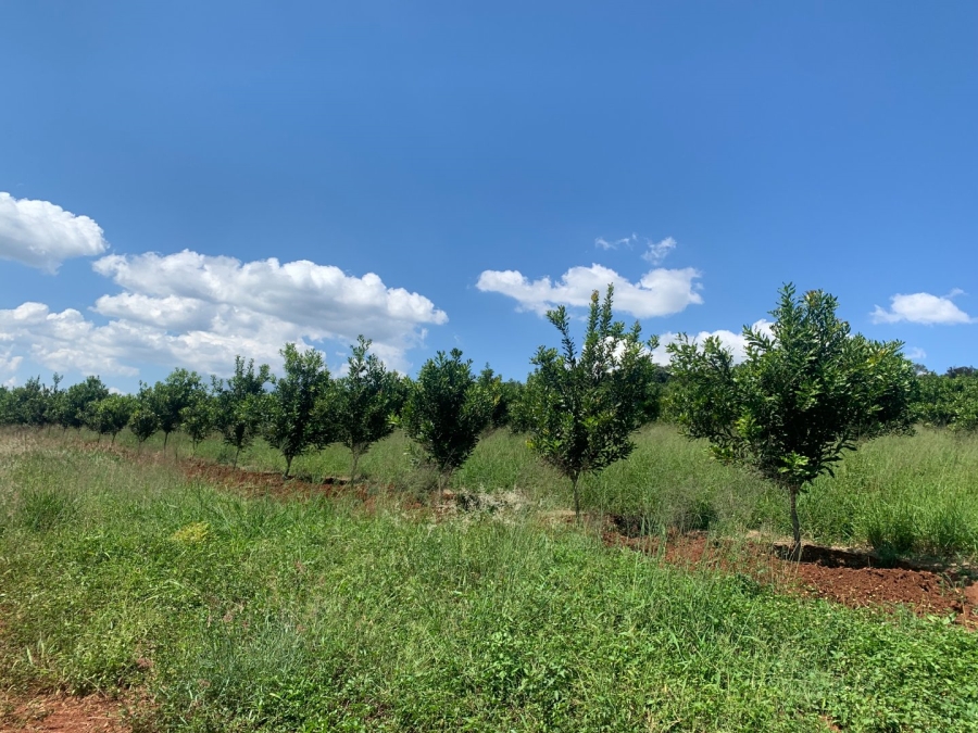 Commercial Property for Sale in Agatha Park Limpopo