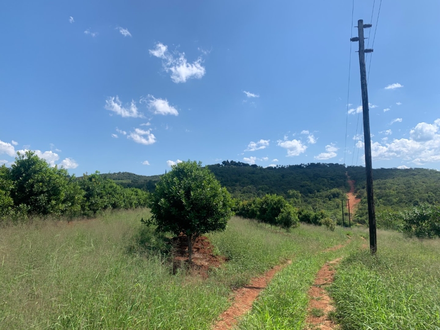 Commercial Property for Sale in Agatha Park Limpopo