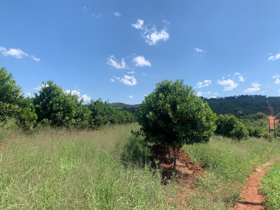 Commercial Property for Sale in Agatha Park Limpopo