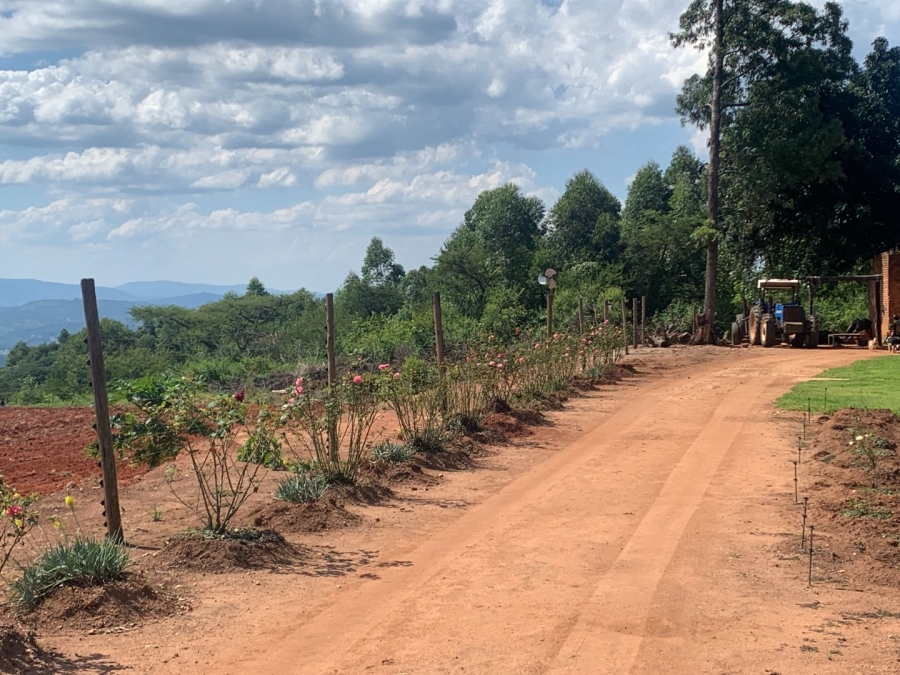 Commercial Property for Sale in Agatha Park Limpopo