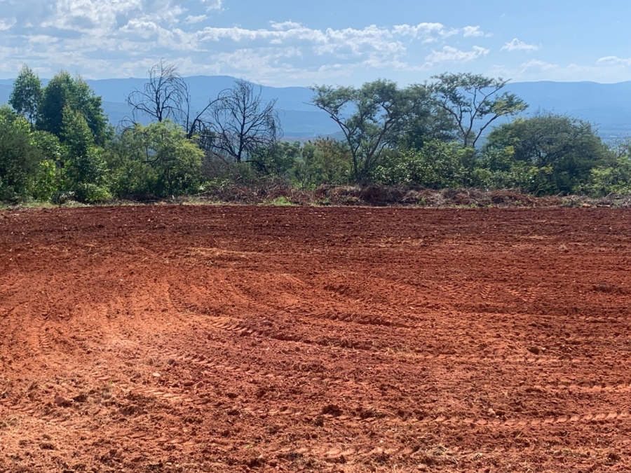 Commercial Property for Sale in Agatha Park Limpopo