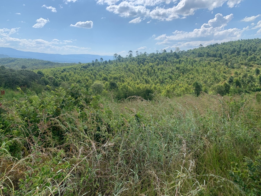 Commercial Property for Sale in Agatha Park Limpopo