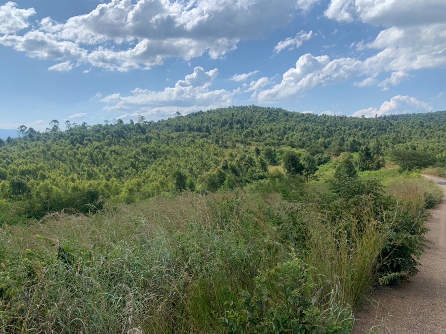 Commercial Property for Sale in Agatha Park Limpopo