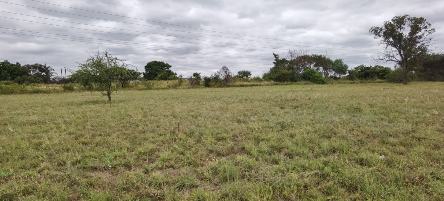 Commercial Property for Sale in Bendor Limpopo