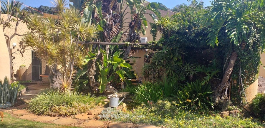 Commercial Property for Sale in Dalmada A H Limpopo