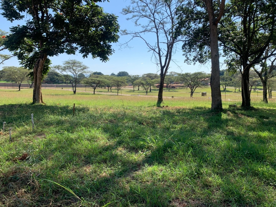 Commercial Property for Sale in Fauna Park Limpopo