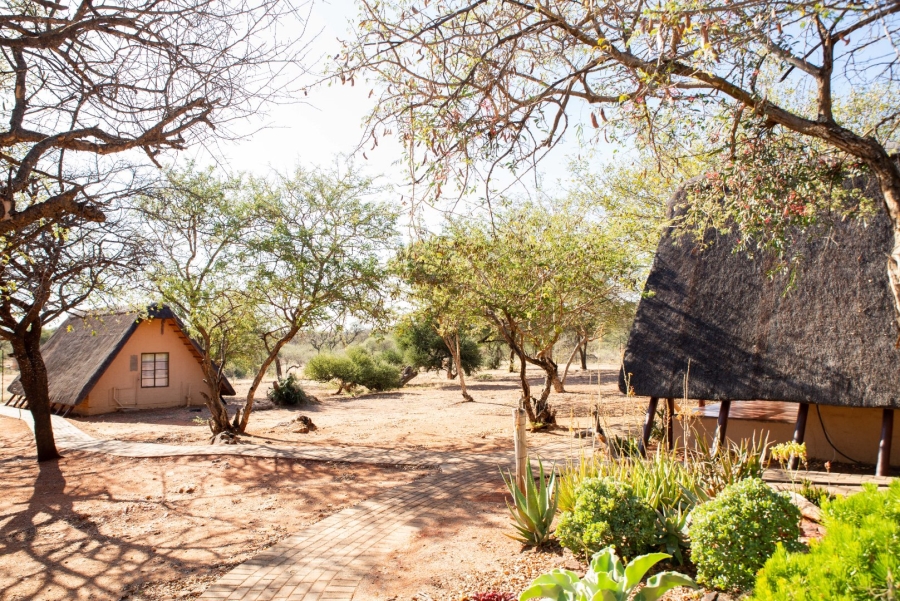 Commercial Property for Sale in Alldays Limpopo