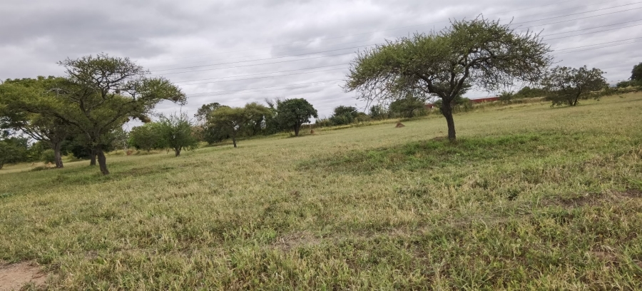 Commercial Property for Sale in Bendor Limpopo