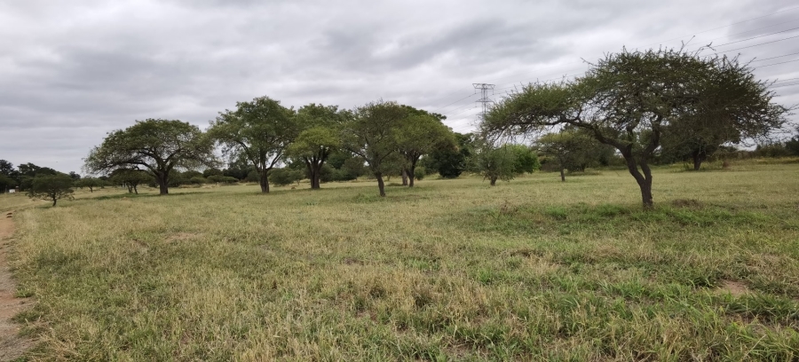 Commercial Property for Sale in Bendor Limpopo