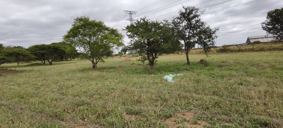 Commercial Property for Sale in Bendor Limpopo