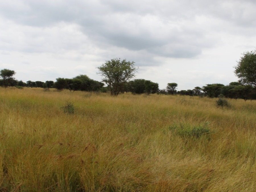 0 Bedroom Property for Sale in Northam Limpopo